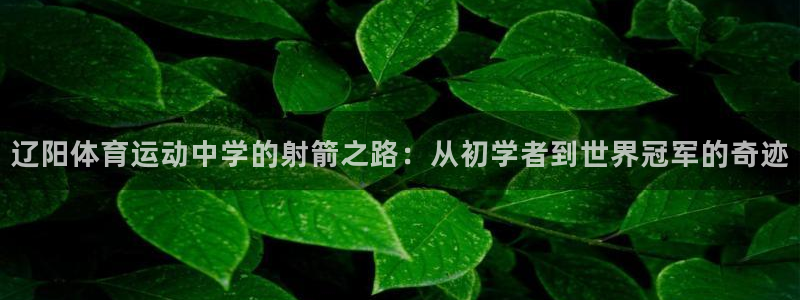 必一运动官网：辽阳体育运动中学的射箭之路：从初学者到世界冠军的奇迹