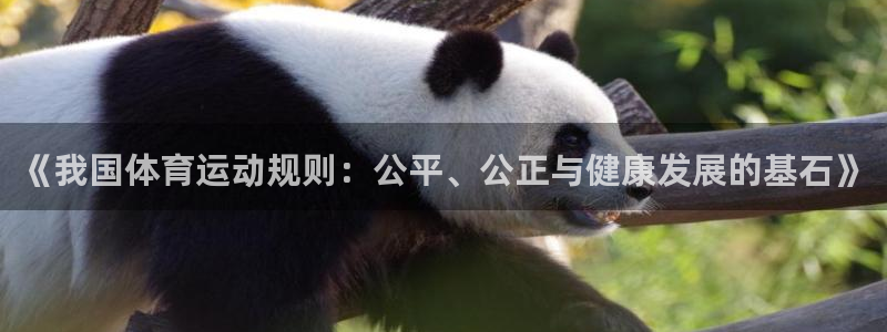 bsport必一运动：《我国体育运动规则：公平、公正与健康发展的基石》