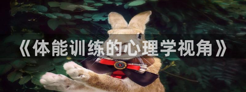 bsport必一运动：《体能训练的心理学视角》