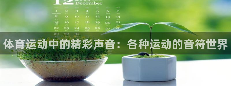 必一运动：体育运动中的精彩声音：各种运动的音符世界