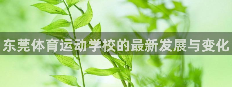 必一运动官网：东莞体育运动学校的最新发展与变化
