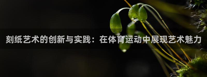bsports必一运动：刻纸艺术的创新与实践：在体育运动中展现艺术魅力
