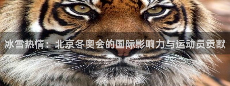 必一运动：冰雪热情：北京冬奥会的国际影响力与运动员贡献