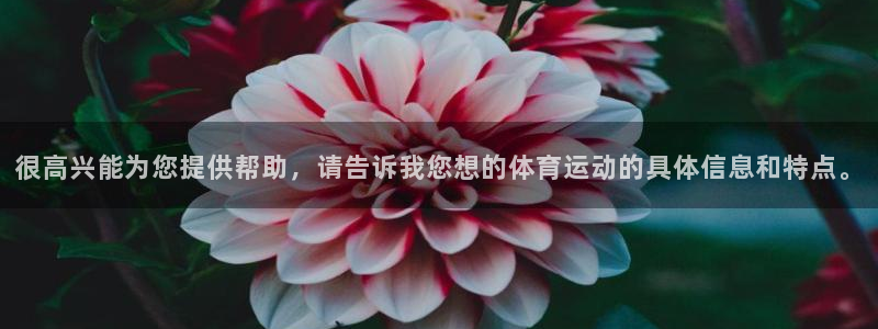bsports必一运动：很高兴能为您提供帮助，请告诉我您想的体育运动的具体信息和特点。