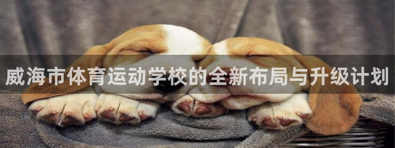必一运动体育官网入口：威海市体育运动学校的全新布局与升级计划