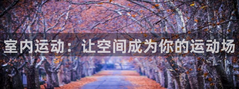 必一运动app：室内运动：让空间成为你的运动场