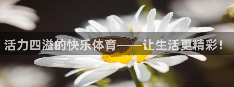 bsports必一运动：活力四溢的快乐体育——让生活更精彩！
