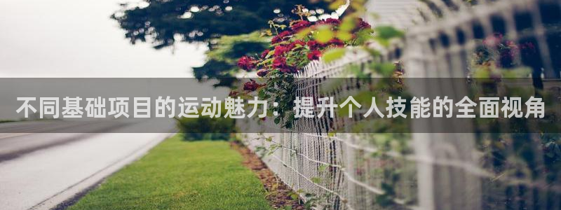必一运动官网入口：不同基础项目的运动魅力：提升个人技能的全面视角