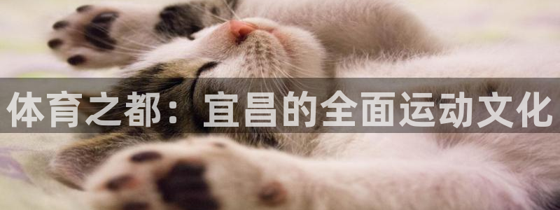 bsport必一运动：体育之都：宜昌的全面运动文化