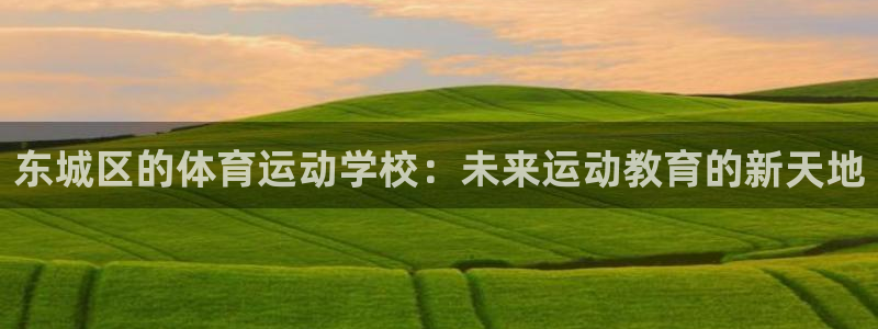 必一运动体育：东城区的体育运动学校：未来运动教育的新天地